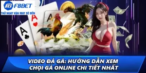 video đá gà ảnh đại diện